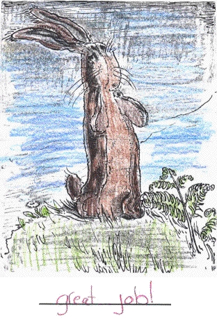 Velveteen Rabbit Drawing