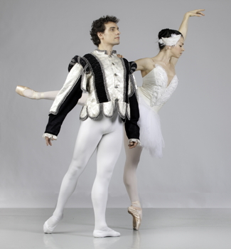 Swan Lake photo